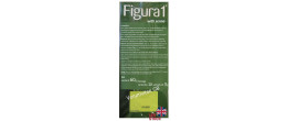 FIGURA 1 WEIGHT LOSS TEA slim diet Slim by Herbapol